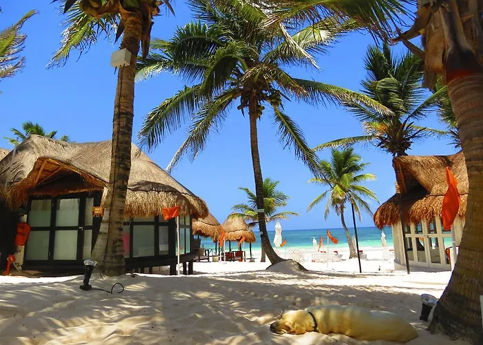Hotel Shambala Petit